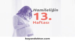 13. Hafta Gebelik – Hafta Hafta Hamilelik | Bayan Doktor