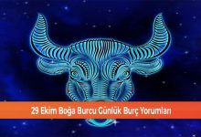 29 Ekim Boga Burcu Gunluk Burc Yorumlari